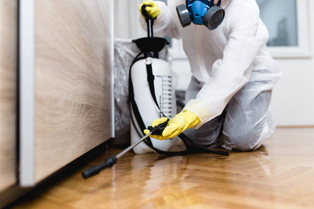 Flea Control Services in Allendale, CA