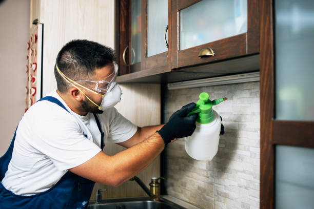 Reliable Allendale, CA Pest Control Solutions