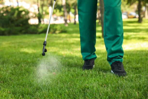 Best Ant Control Services  in Allendale, CA