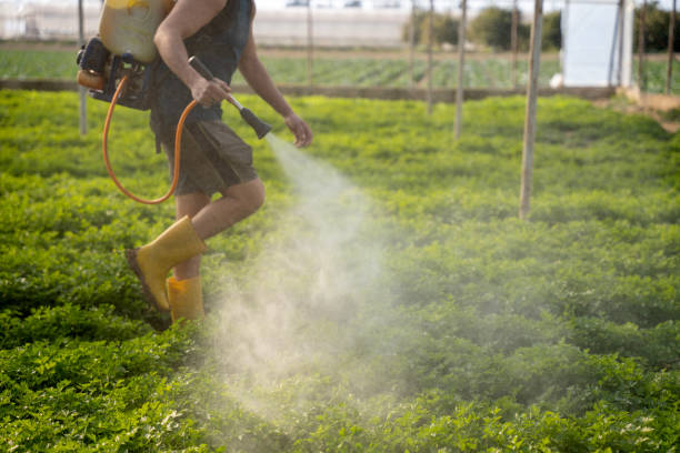Best Emergency Pest Control  in Allendale, CA