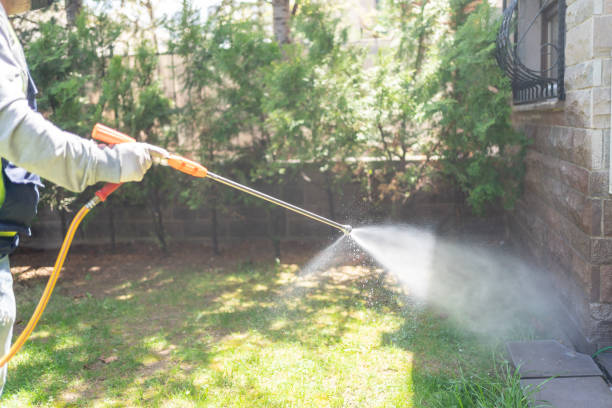 Best Local Pest Control Services  in Allendale, CA