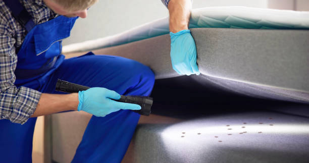 Best Affordable Pest Control Services  in Allendale, CA