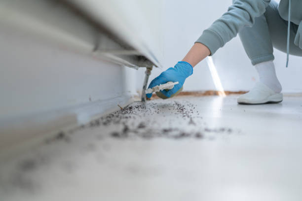 Best Residential Pest Control  in Allendale, CA